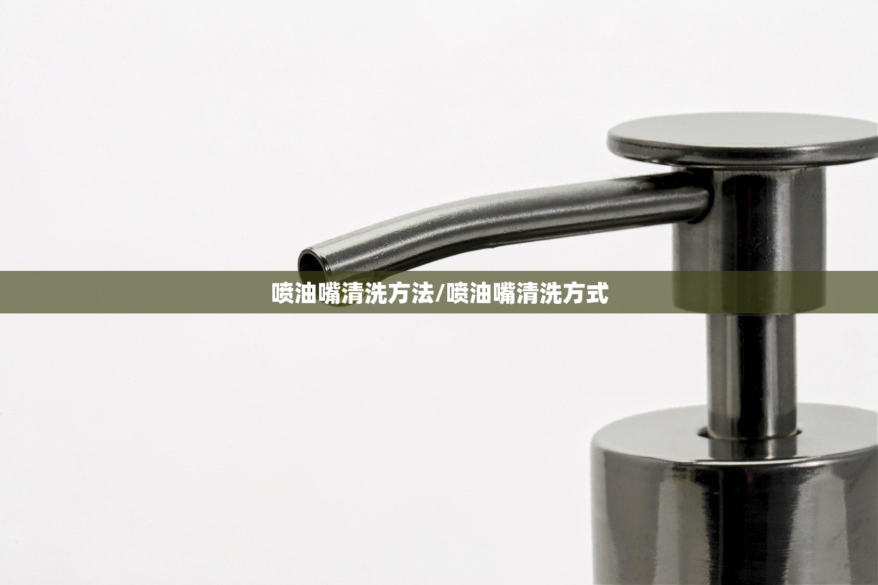 喷油嘴清洗方法/喷油嘴清洗方式