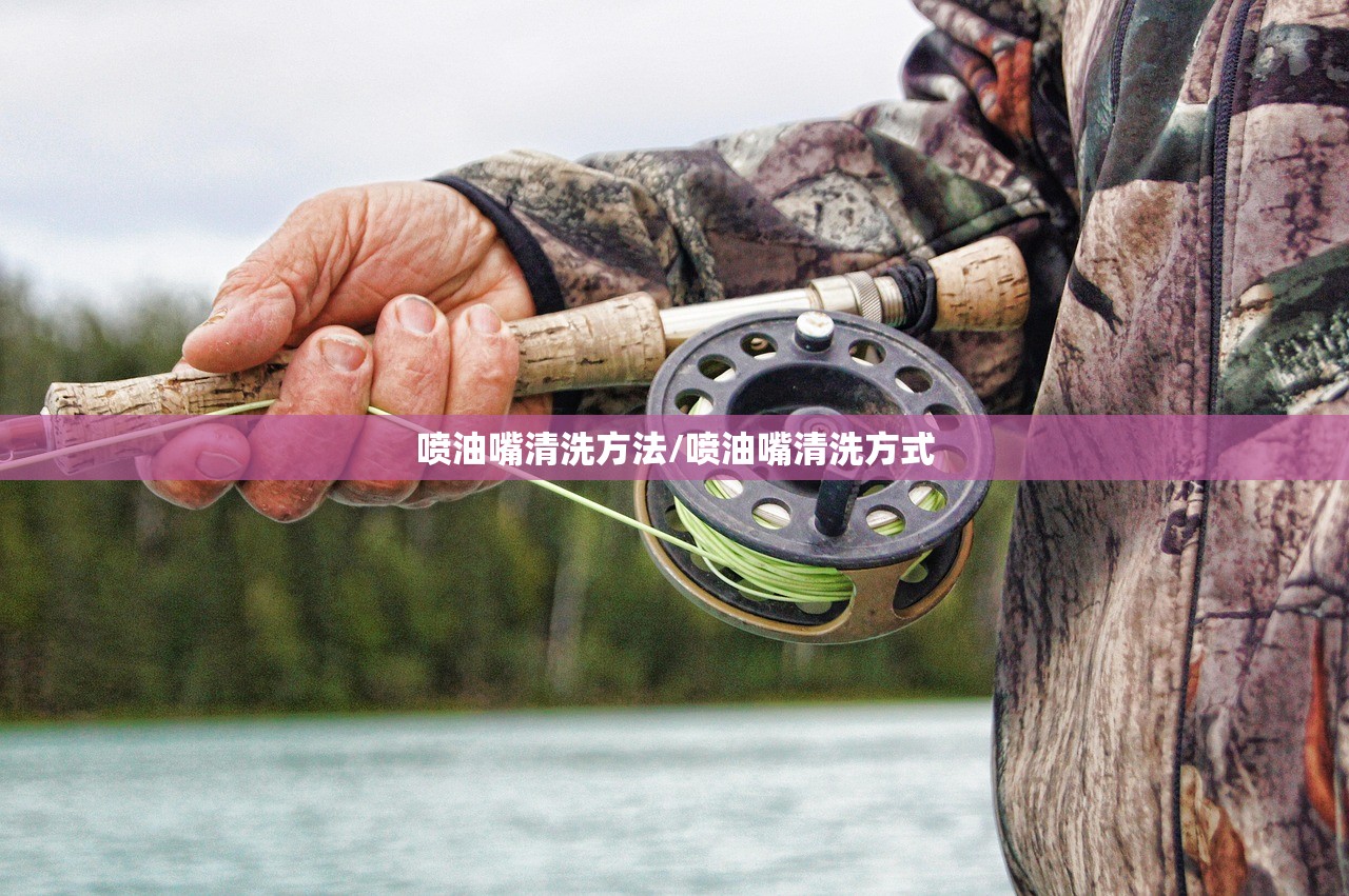 喷油嘴清洗方法/喷油嘴清洗方式