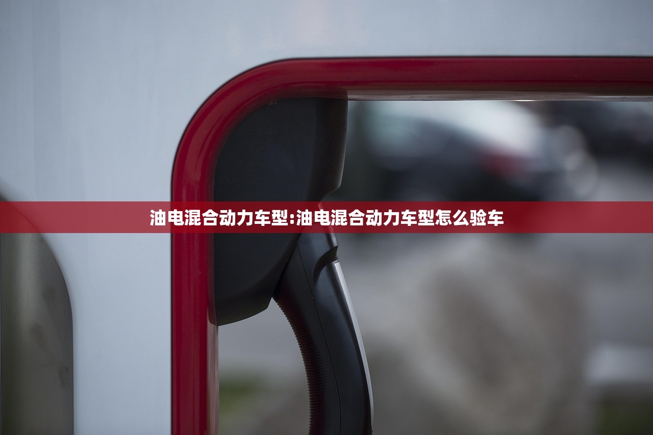 油电混合动力车型:油电混合动力车型怎么验车
