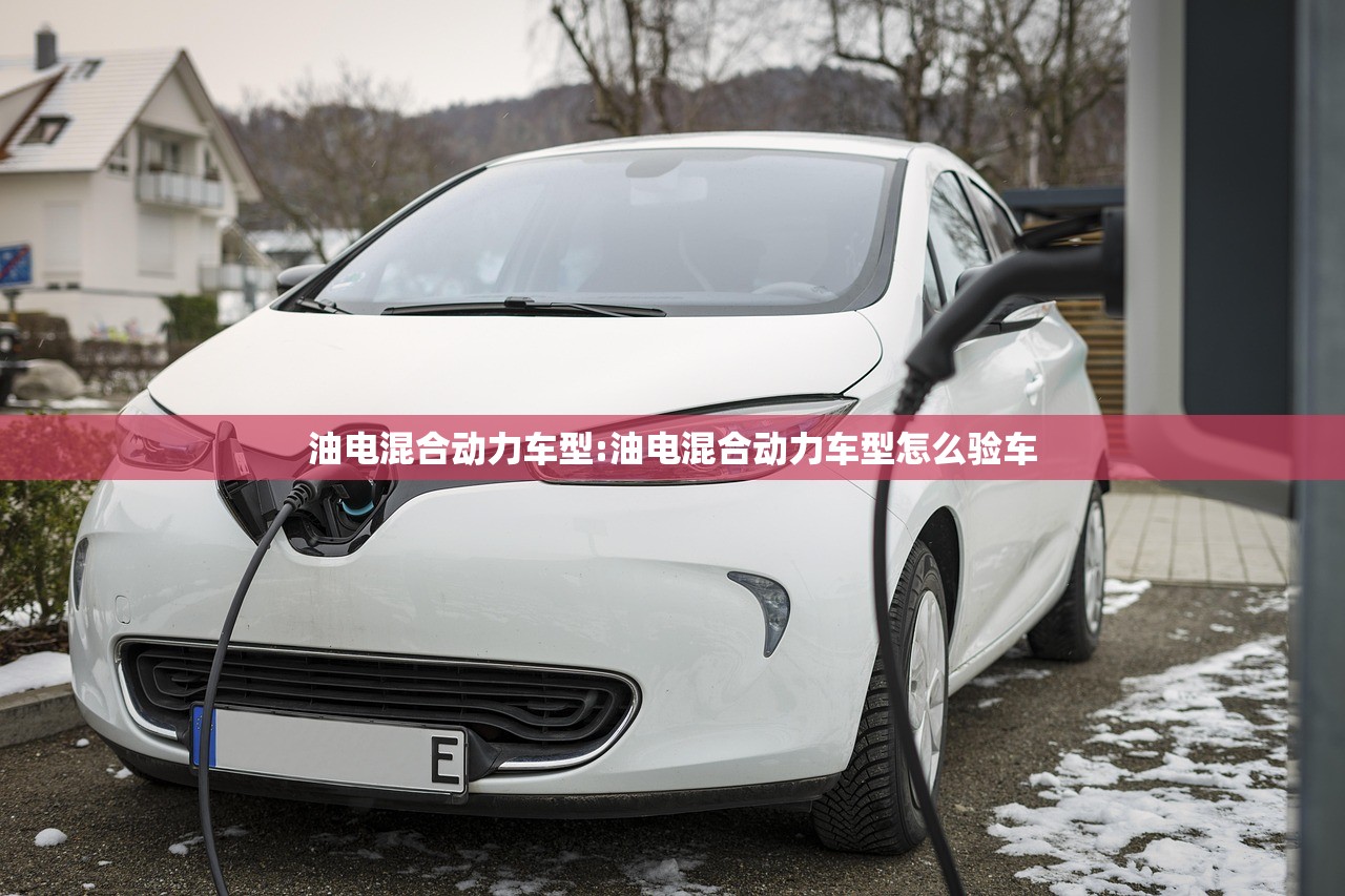 油电混合动力车型:油电混合动力车型怎么验车