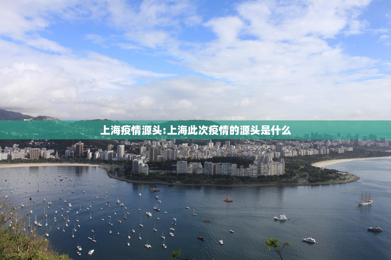 上海疫情源头:上海此次疫情的源头是什么