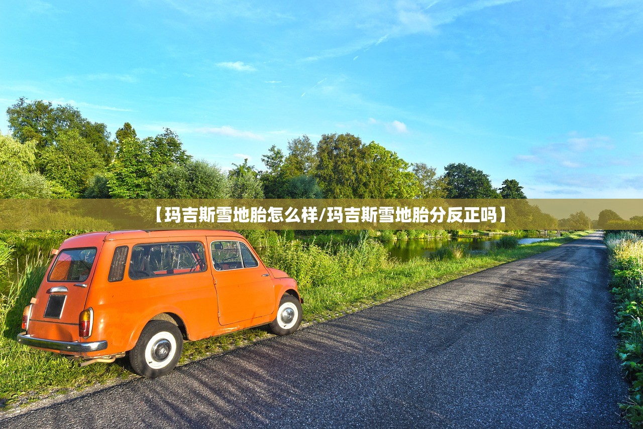 【玛吉斯雪地胎怎么样/玛吉斯雪地胎分反正吗】