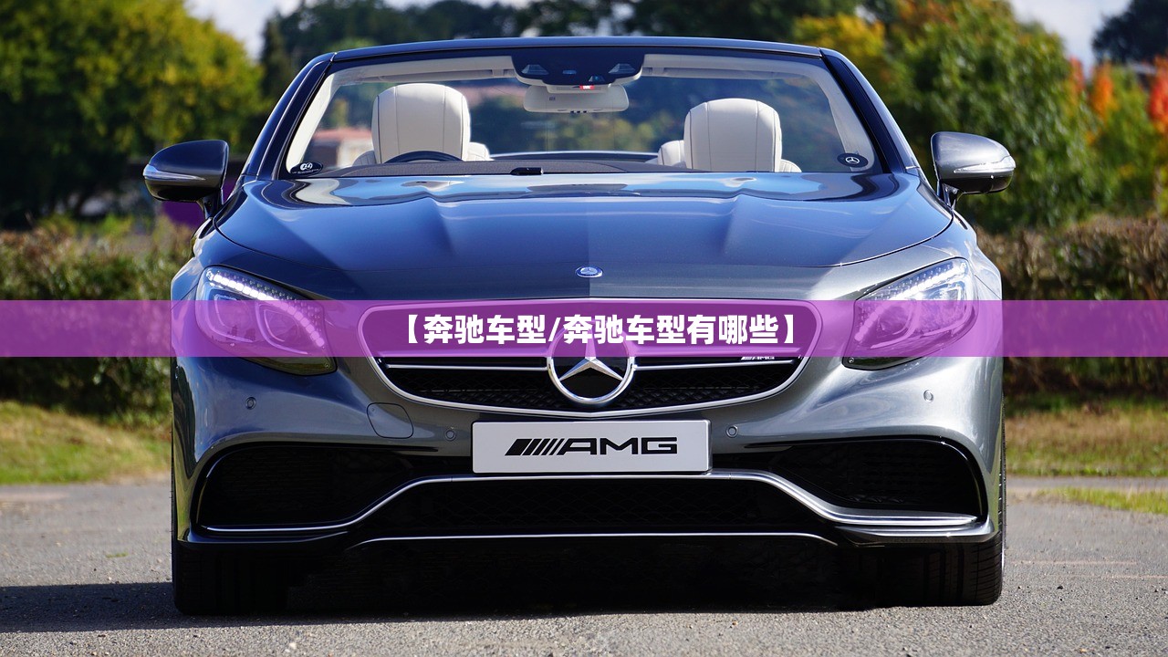 【奔驰车型/奔驰车型有哪些】