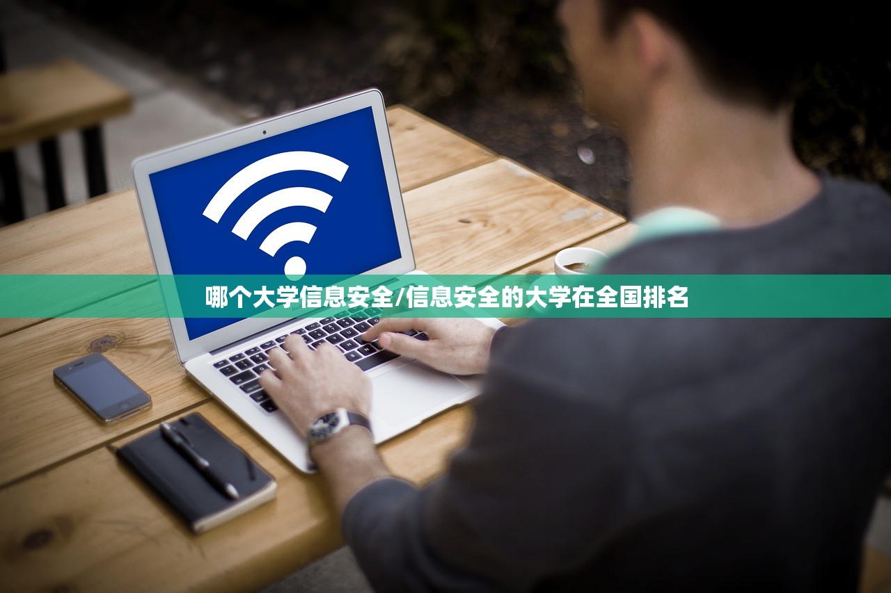 哪个大学信息安全/信息安全的大学在全国排名