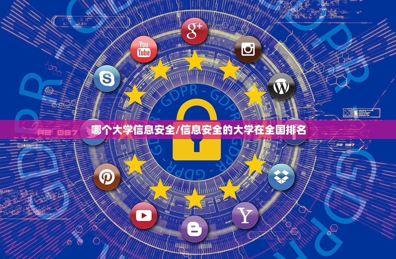 哪个大学信息安全/信息安全的大学在全国排名
