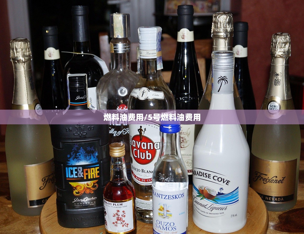 燃料油费用/5号燃料油费用