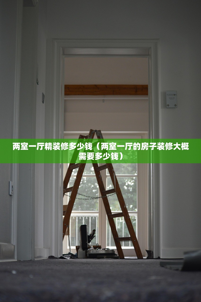 两室一厅精装修多少钱（两室一厅的房子装修大概需要多少钱）