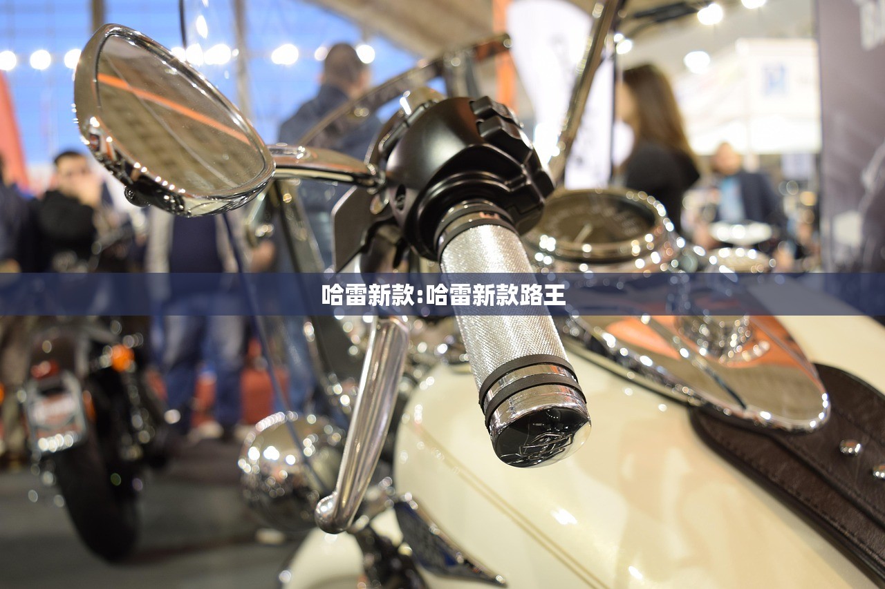 哈雷新款:哈雷新款路王