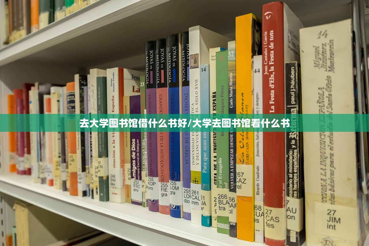 去大学图书馆借什么书好/大学去图书馆看什么书