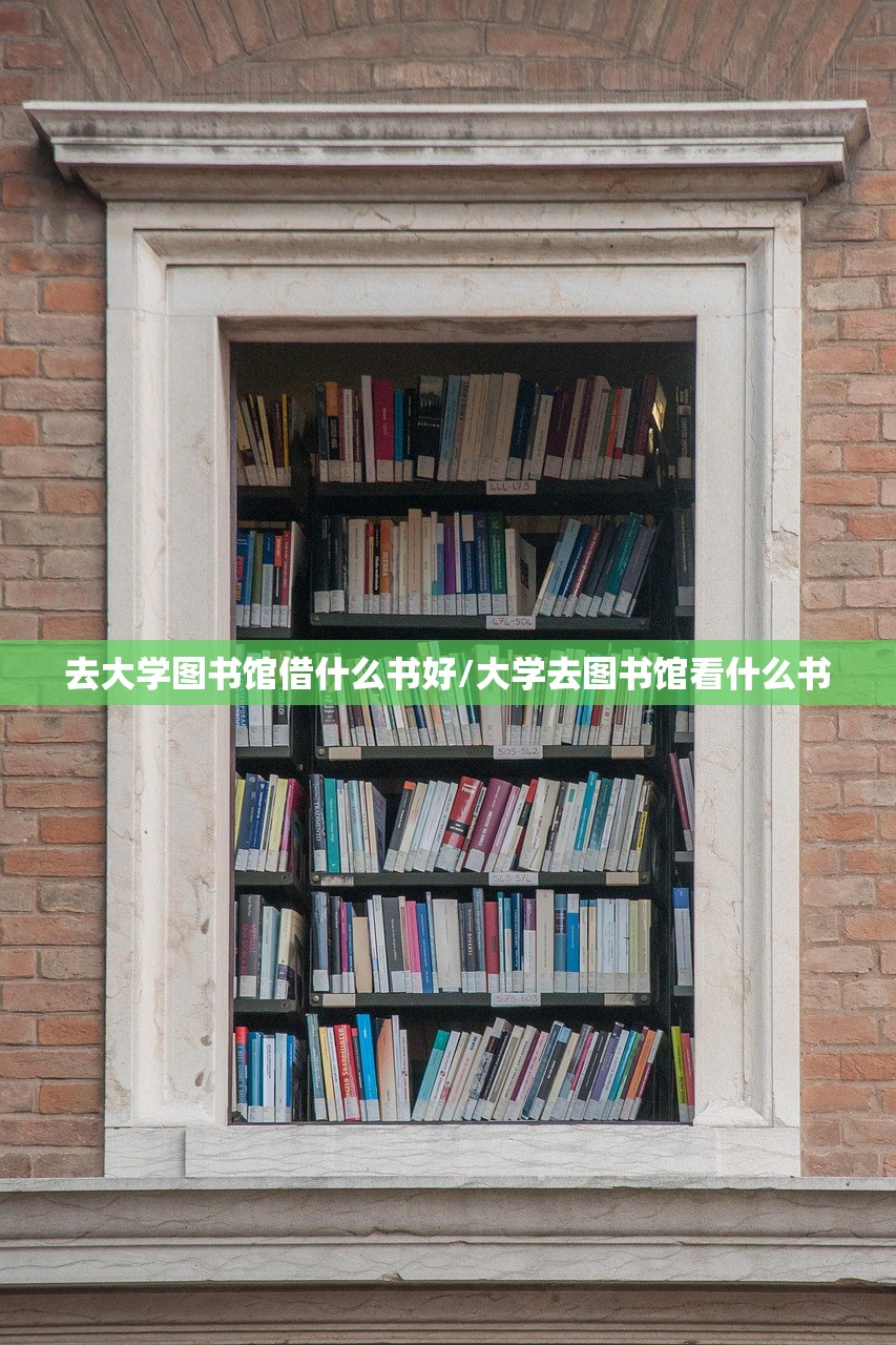 去大学图书馆借什么书好/大学去图书馆看什么书
