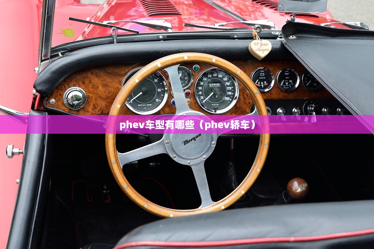 phev车型有哪些（phev轿车）