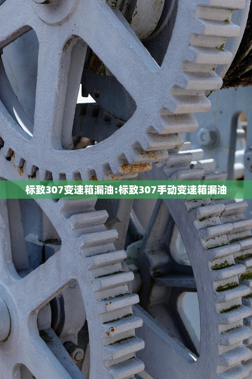 标致307变速箱漏油:标致307手动变速箱漏油