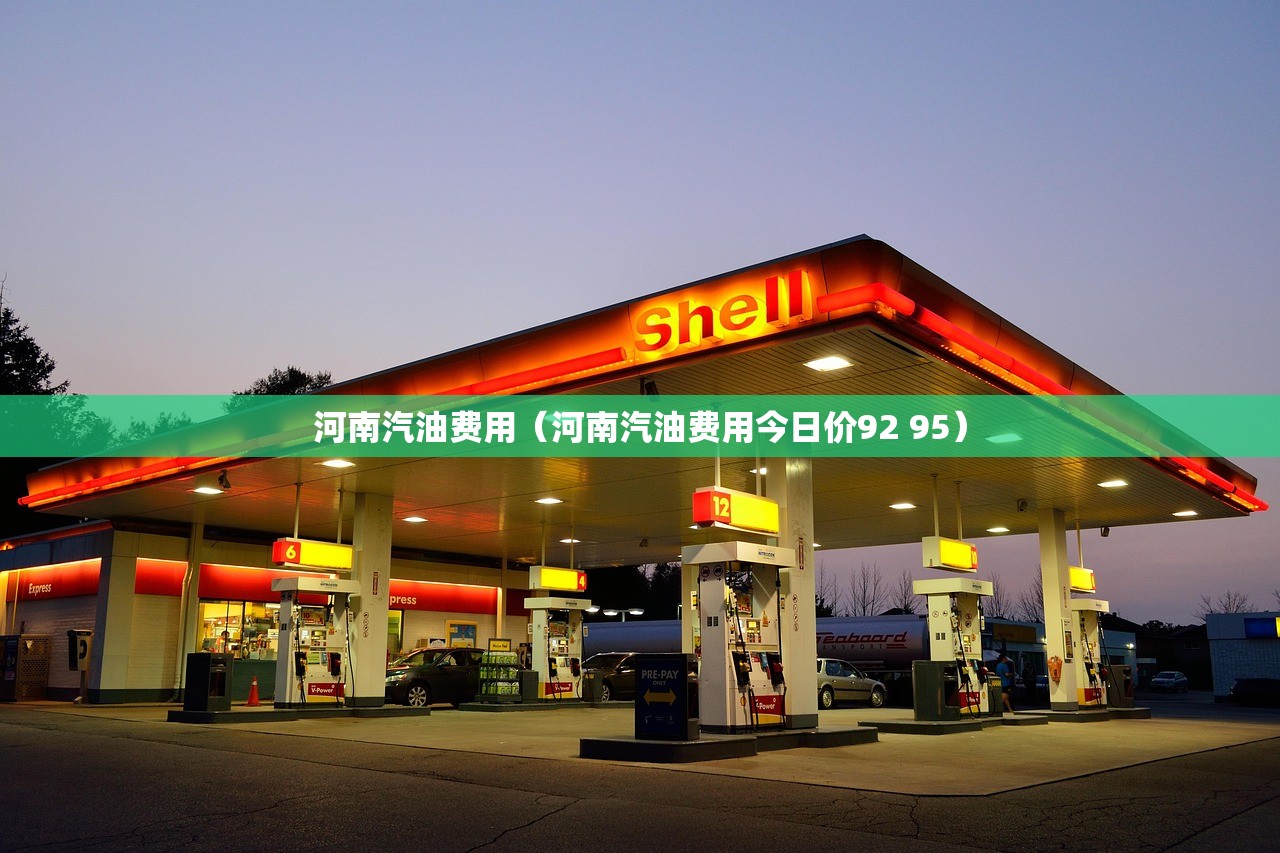 河南汽油费用（河南汽油费用今日价92 95）