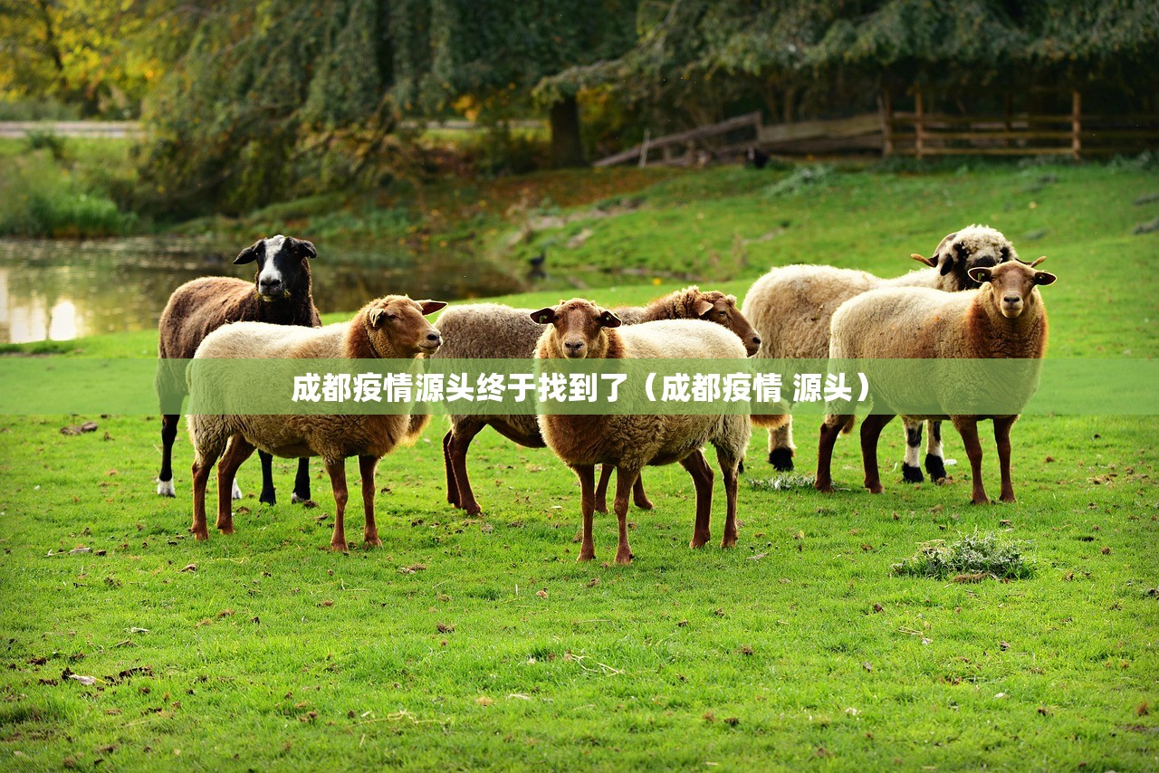 成都疫情源头终于找到了（成都疫情 源头）