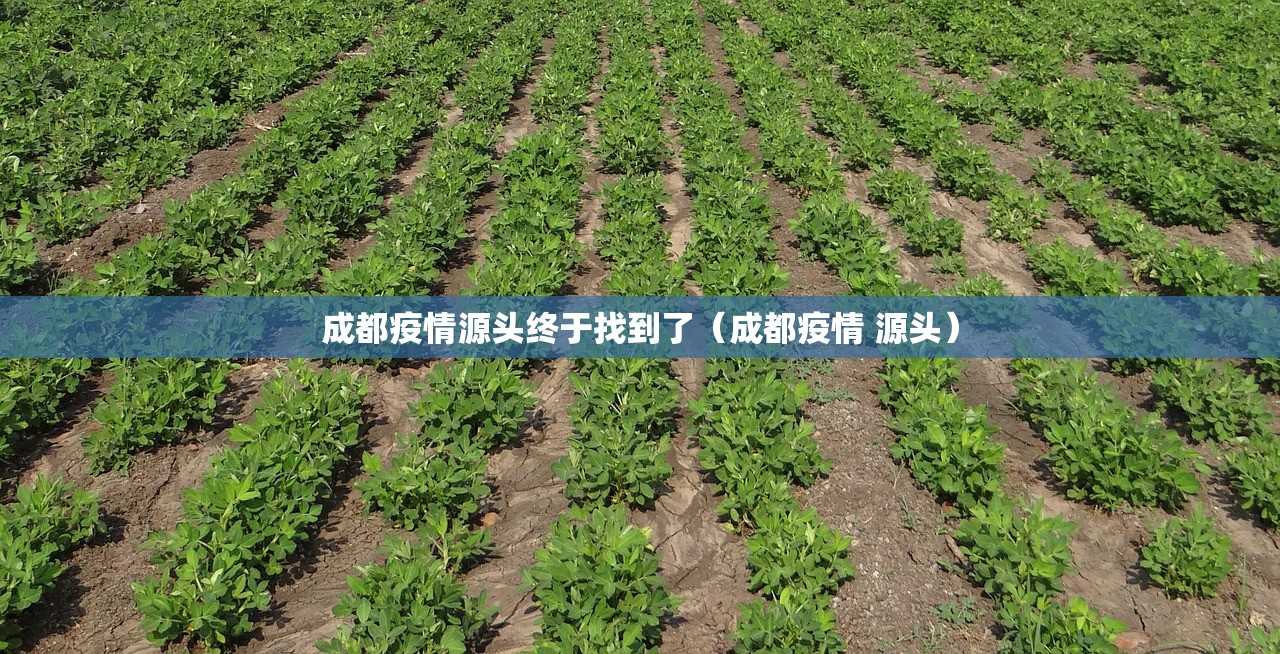 成都疫情源头终于找到了（成都疫情 源头）