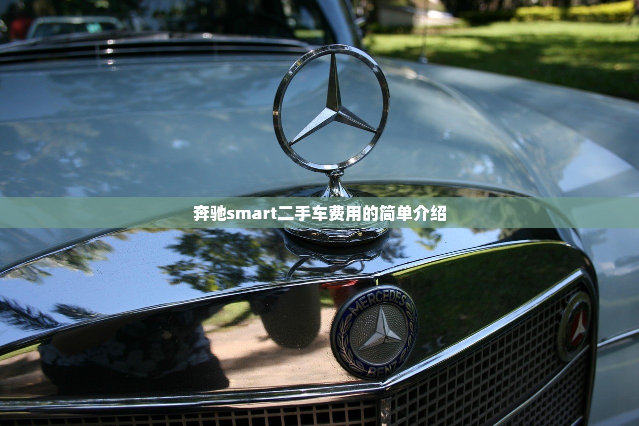 奔驰smart二手车费用的简单介绍