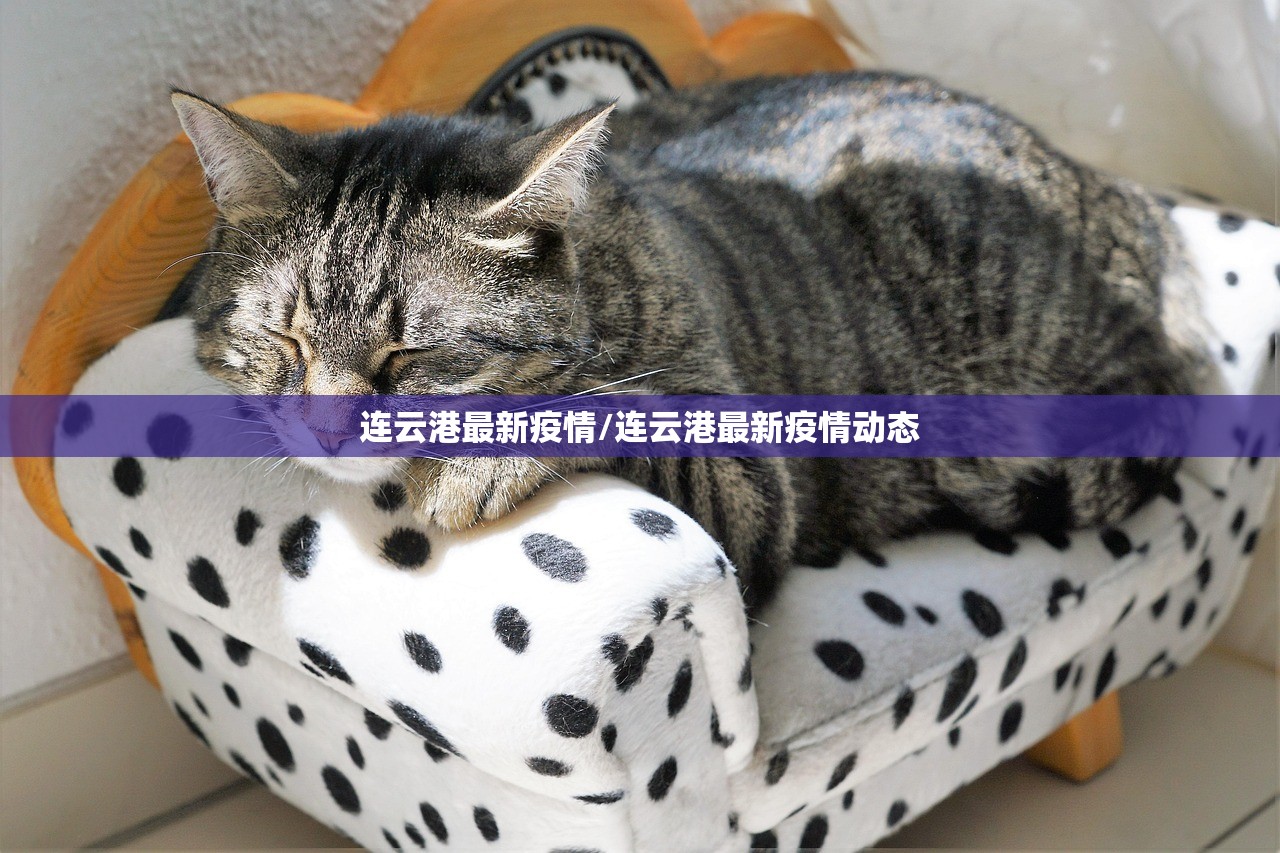 连云港最新疫情/连云港最新疫情动态