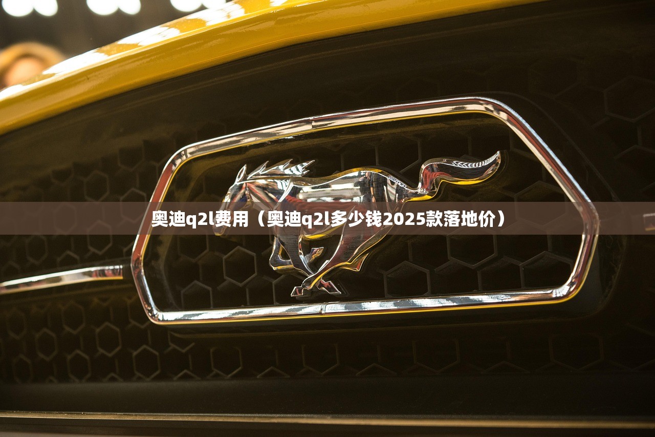 奥迪q2l费用（奥迪q2l多少钱2025款落地价）