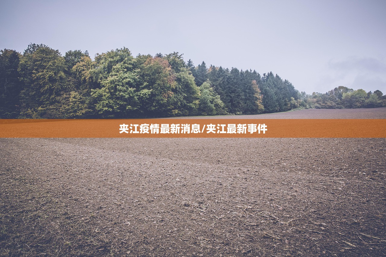 夹江疫情最新消息/夹江最新事件