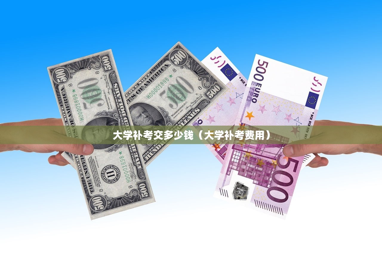 大学补考交多少钱（大学补考费用）