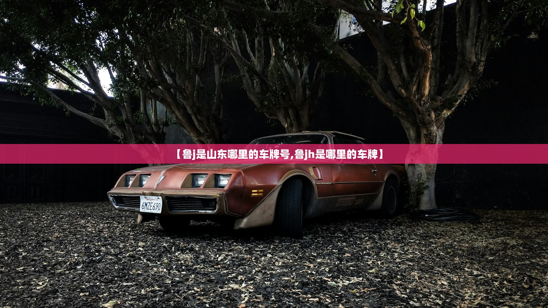 【鲁j是山东哪里的车牌号,鲁jh是哪里的车牌】 【鲁j是山东哪里的车牌号,鲁jh是哪里的车牌】