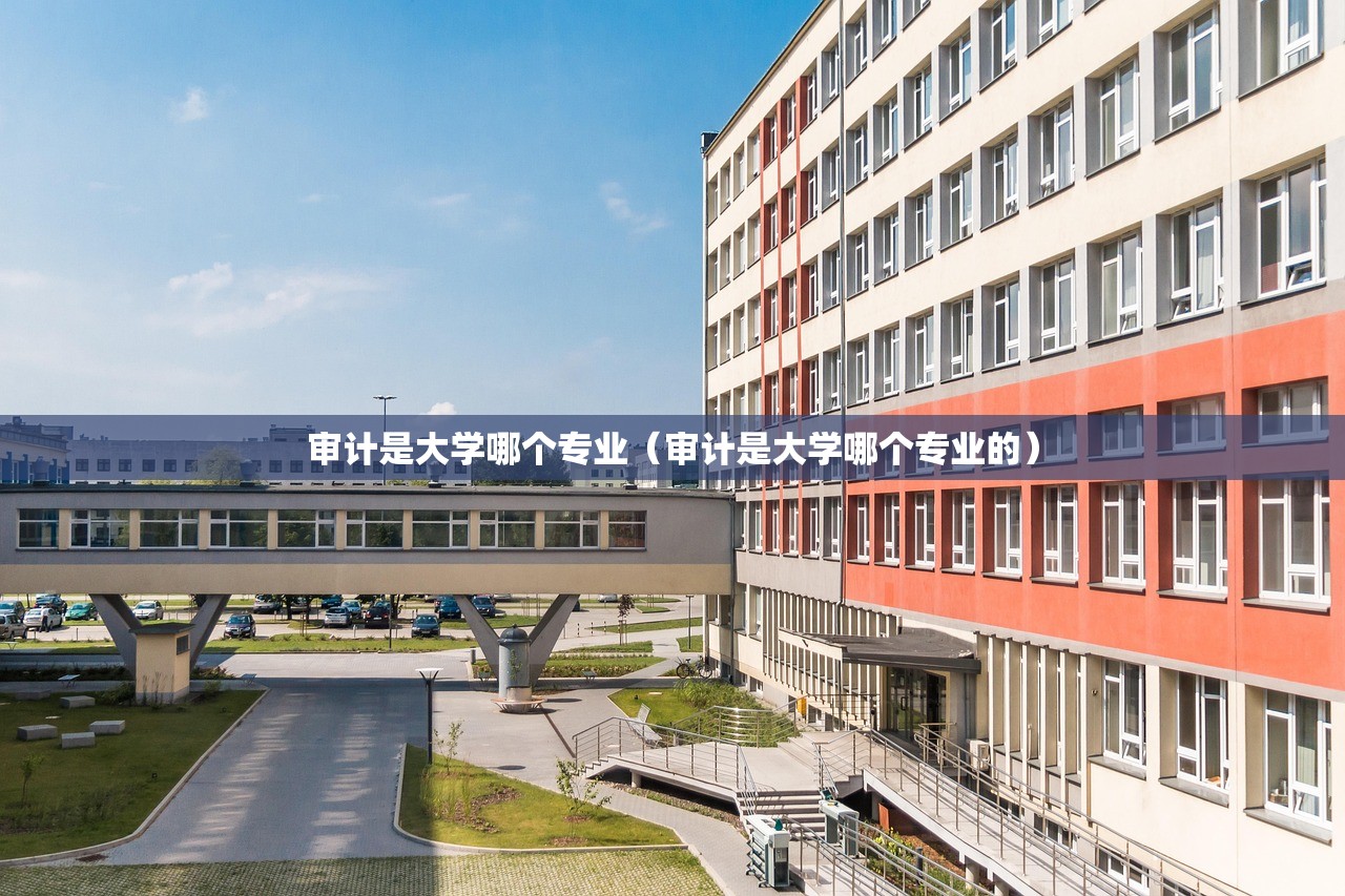 审计是大学哪个专业（审计是大学哪个专业的）