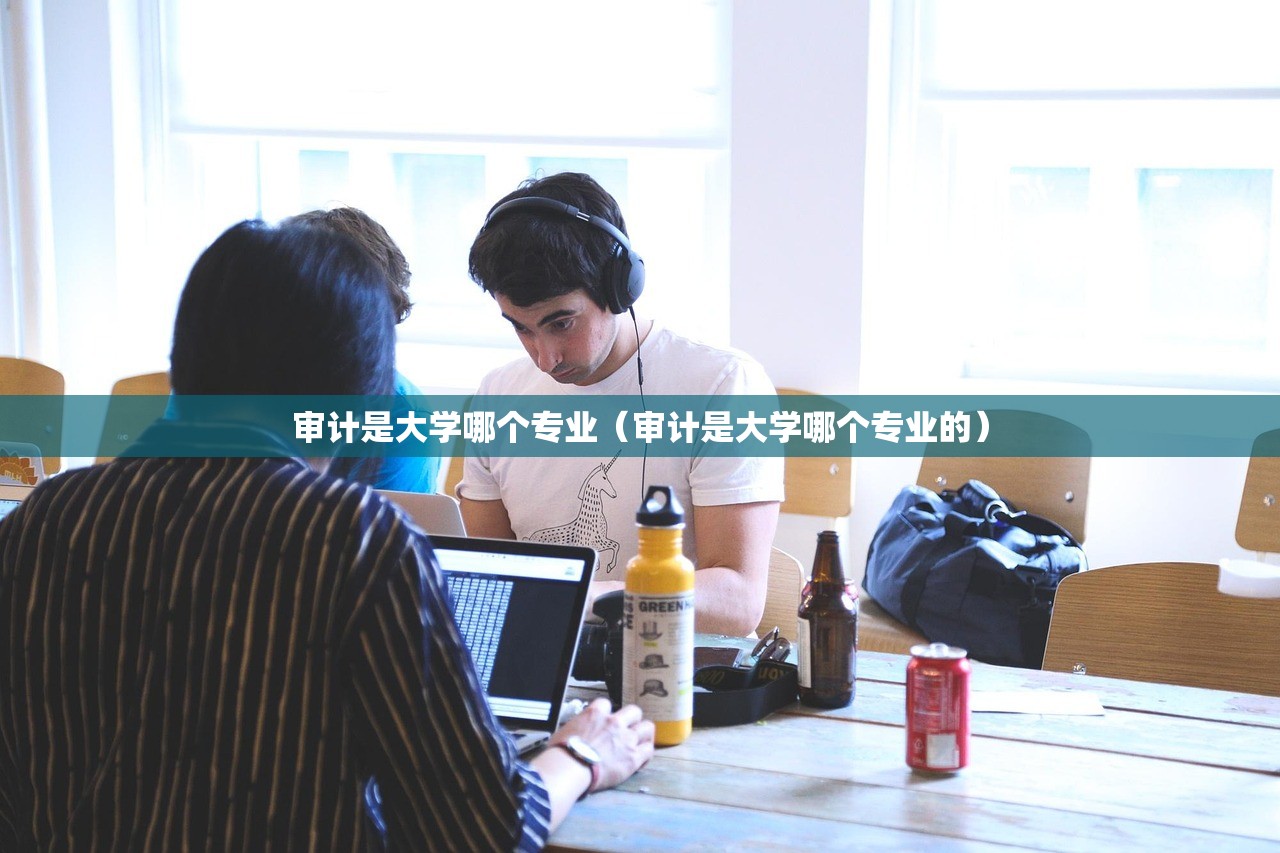 审计是大学哪个专业（审计是大学哪个专业的）