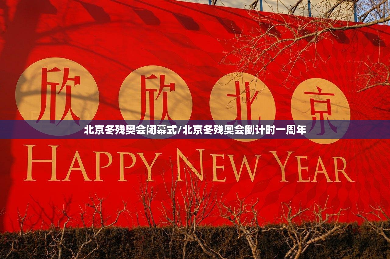 北京冬残奥会闭幕式/北京冬残奥会倒计时一周年