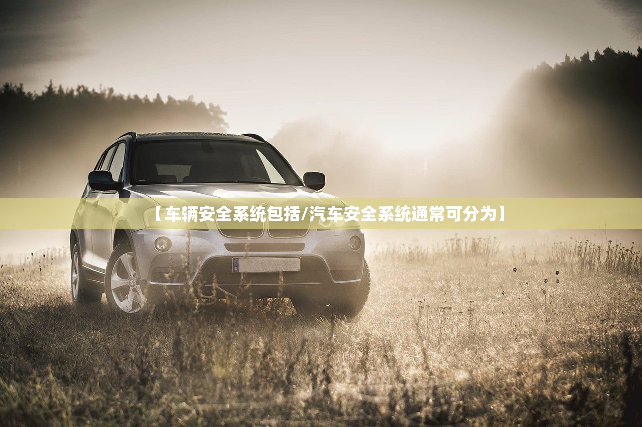 【车辆安全系统包括/汽车安全系统通常可分为】