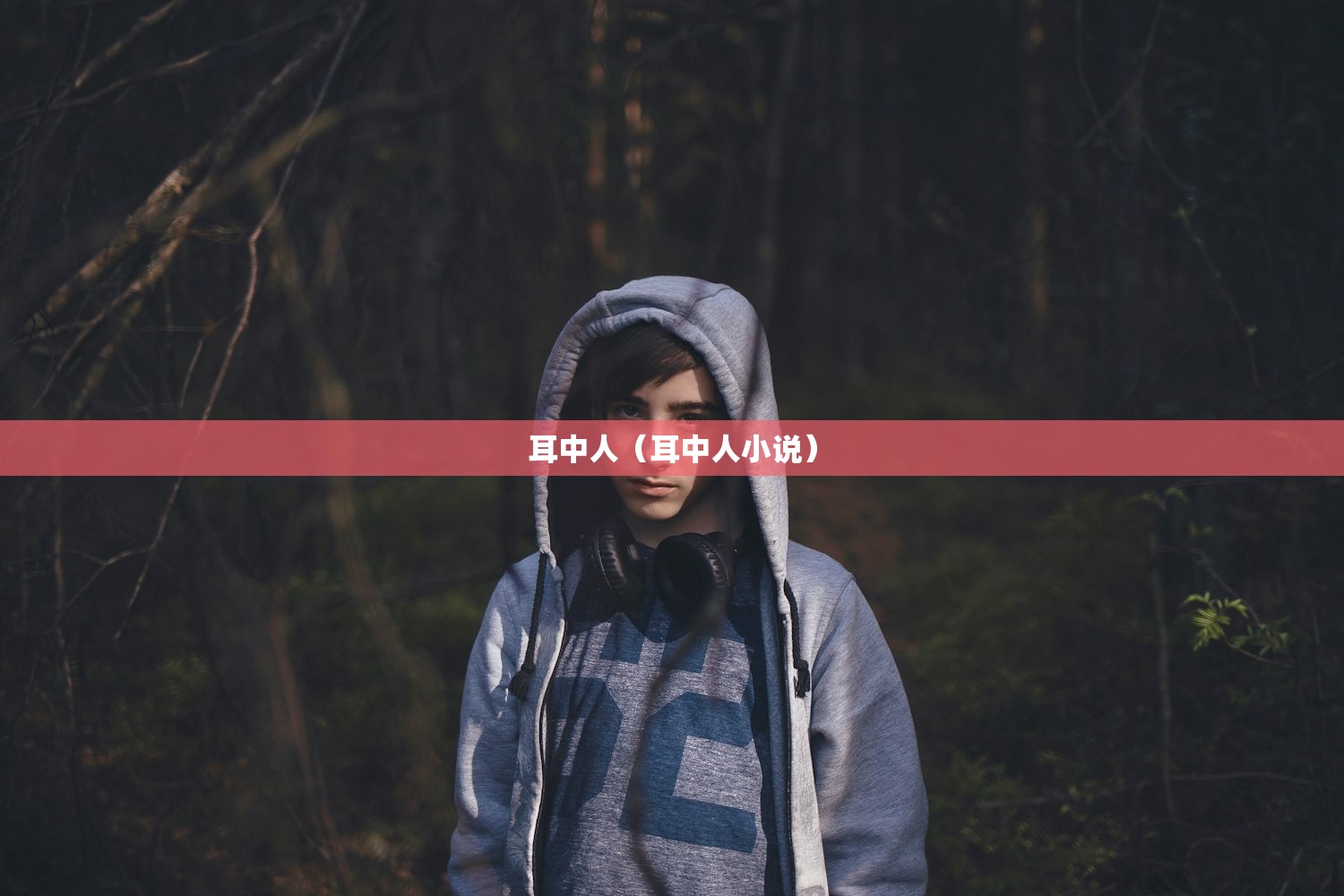 耳中人（耳中人小说）