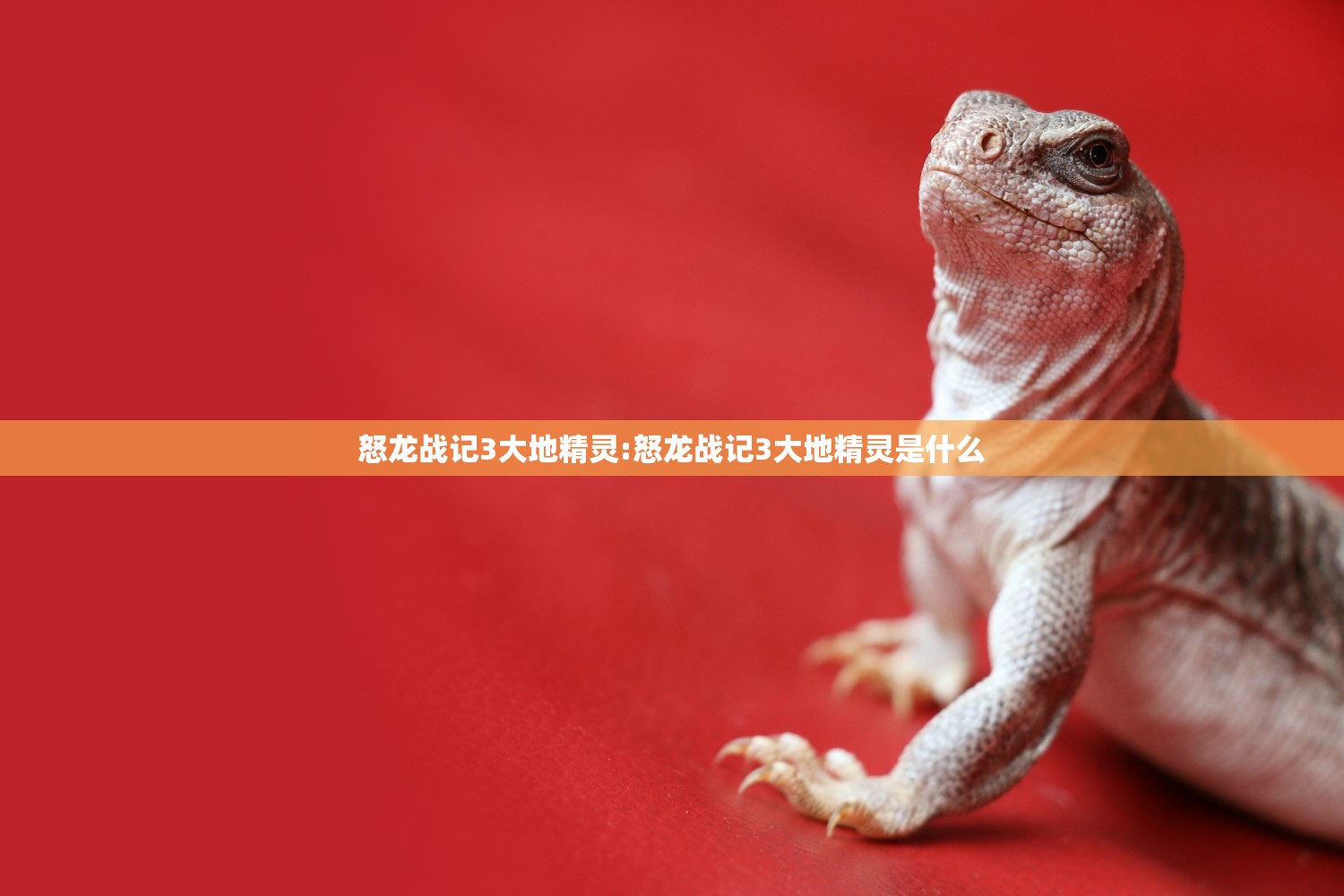 怒龙战记3大地精灵:怒龙战记3大地精灵是什么 怒龙战记3大地精灵:怒龙战记3大地精灵是什么