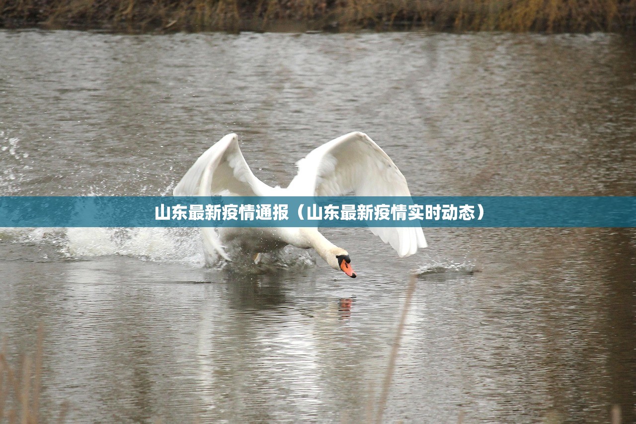 山东最新疫情通报(山东最新疫情实时动态) 山东最新疫情通报(山东最新疫情实时动态)