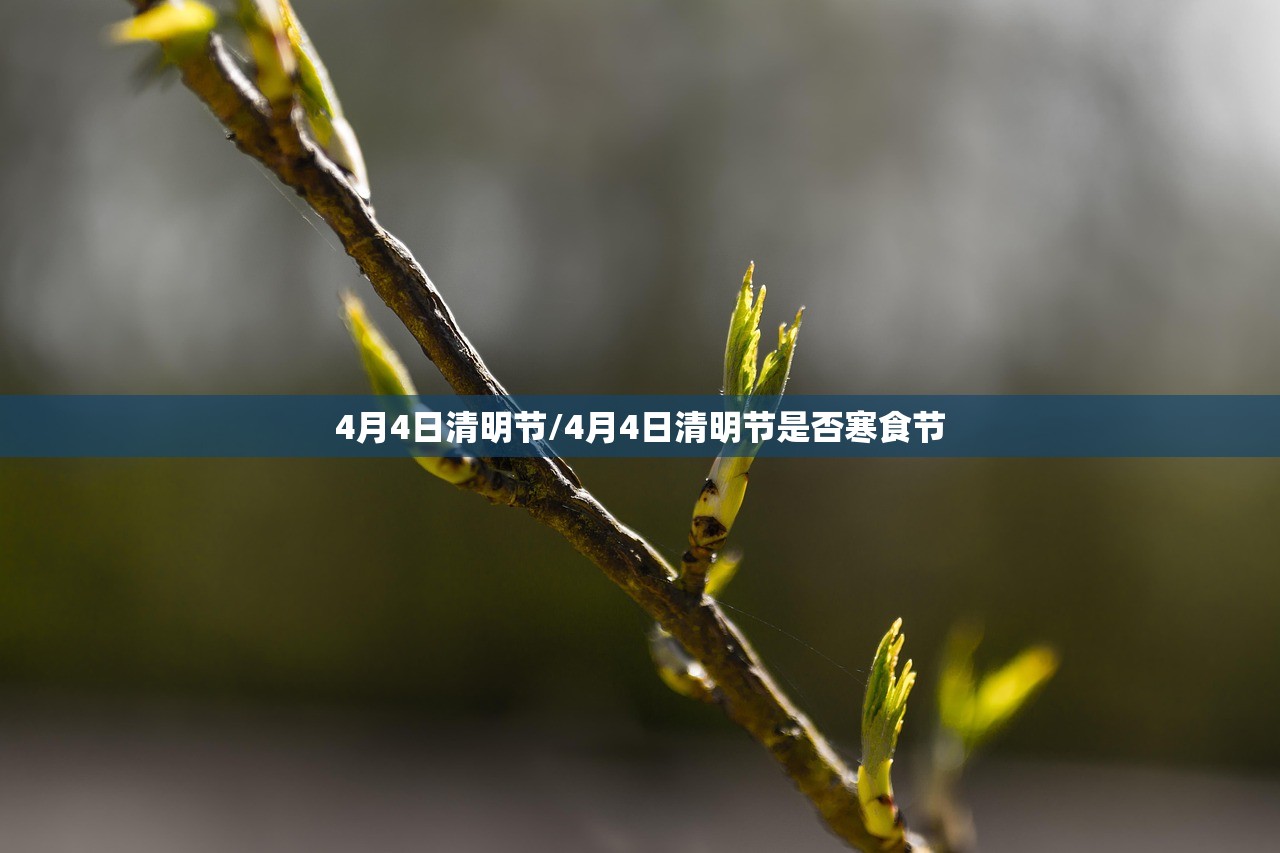 4月4日清明节/4月4日清明节是否寒食节 4月4日清明节/4月4日清明节是否寒食节
