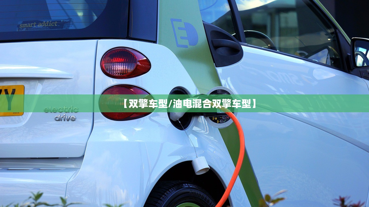 【双擎车型/油电混合双擎车型】