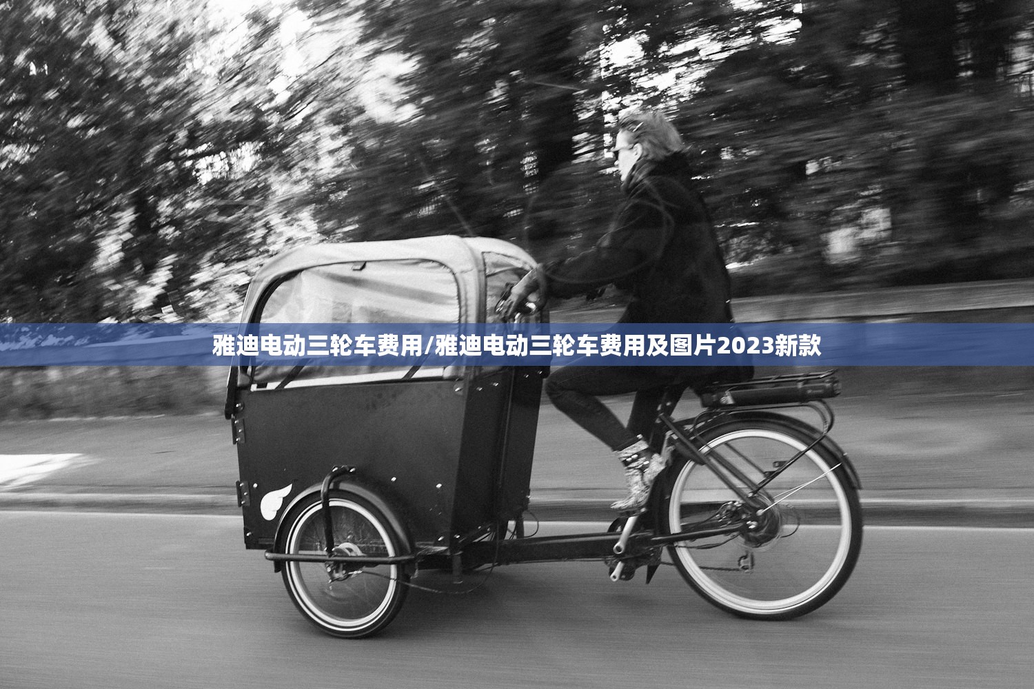 雅迪电动三轮车费用/雅迪电动三轮车费用及图片2023新款