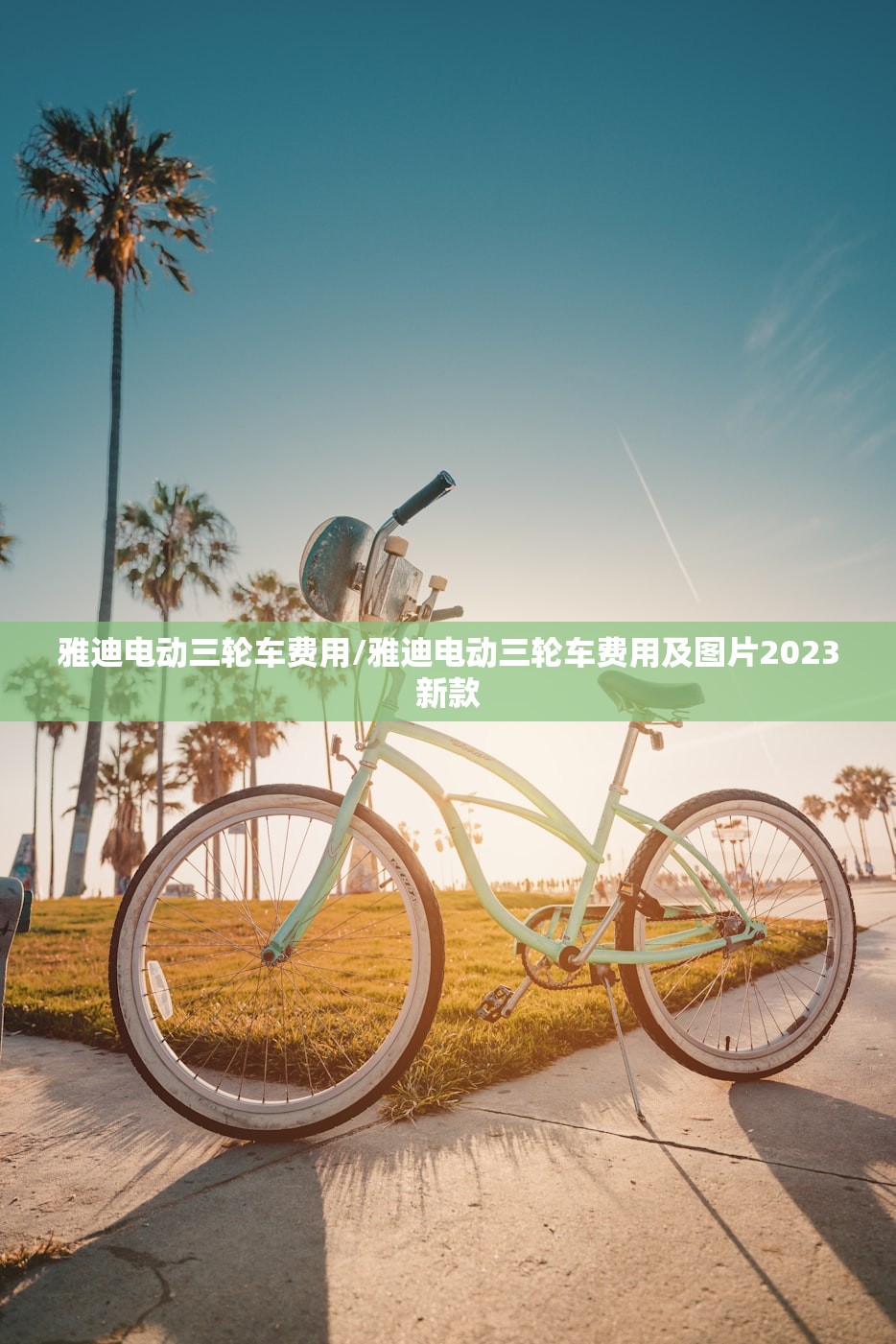 雅迪电动三轮车费用/雅迪电动三轮车费用及图片2023新款
