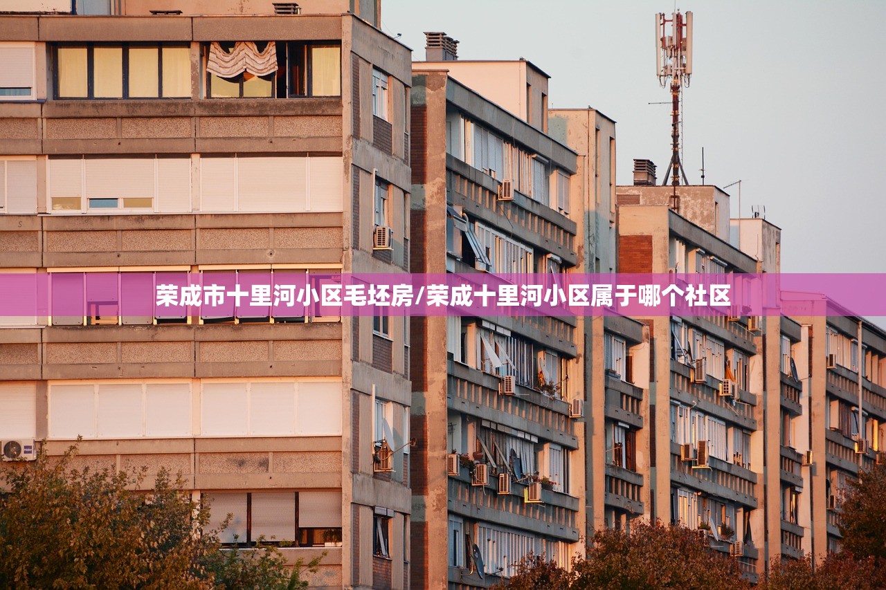 荣成市十里河小区毛坯房/荣成十里河小区属于哪个社区