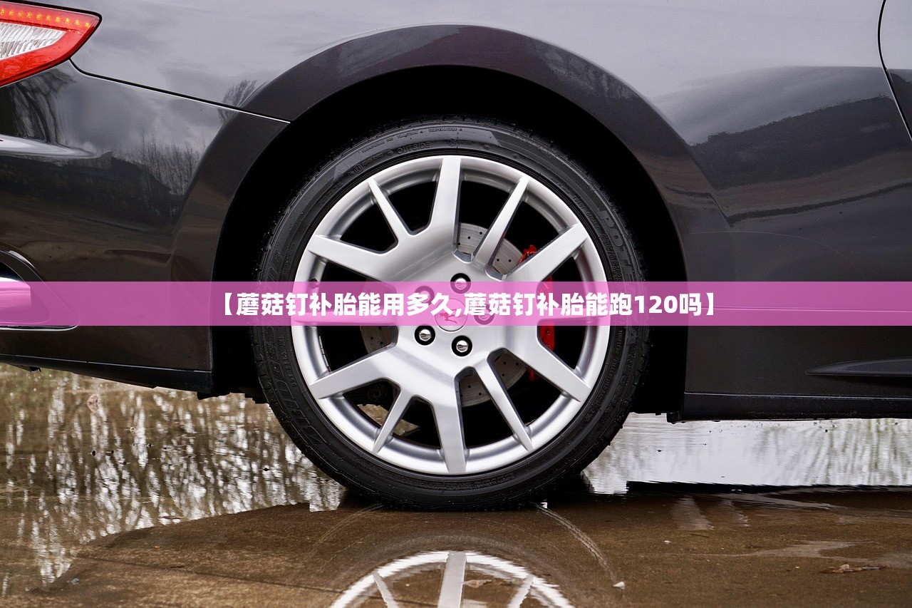 【蘑菇钉补胎能用多久,蘑菇钉补胎能跑120吗】