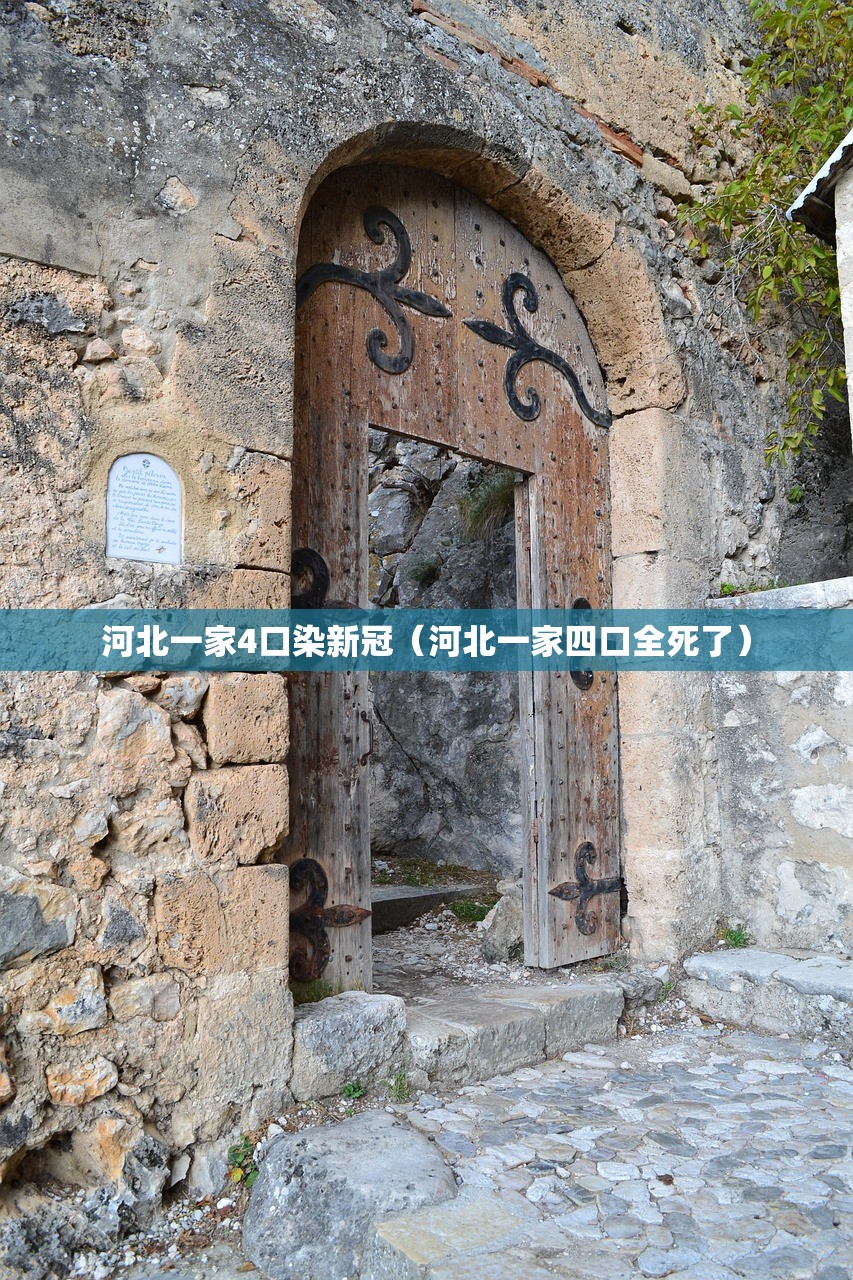河北一家4口染新冠（河北一家四口全死了）