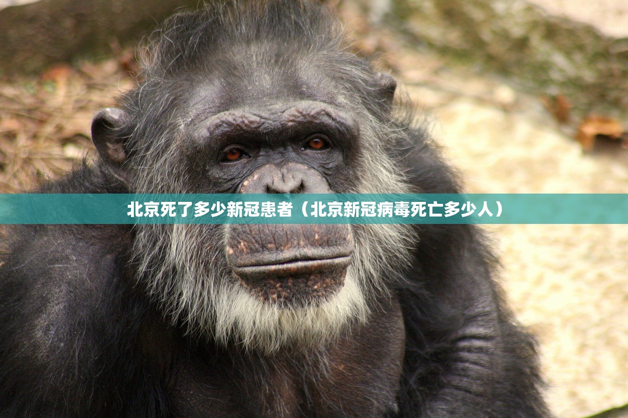 北京死了多少新冠患者（北京新冠病毒死亡多少人）