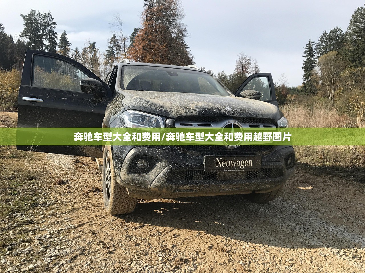 奔驰车型大全和费用/奔驰车型大全和费用越野图片