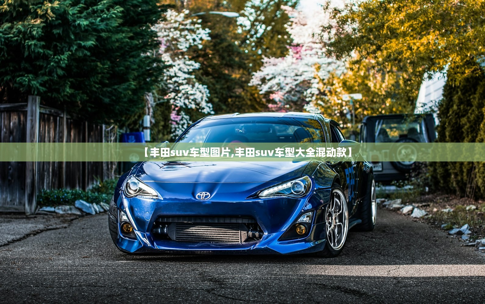 【丰田suv车型图片,丰田suv车型大全混动款】
