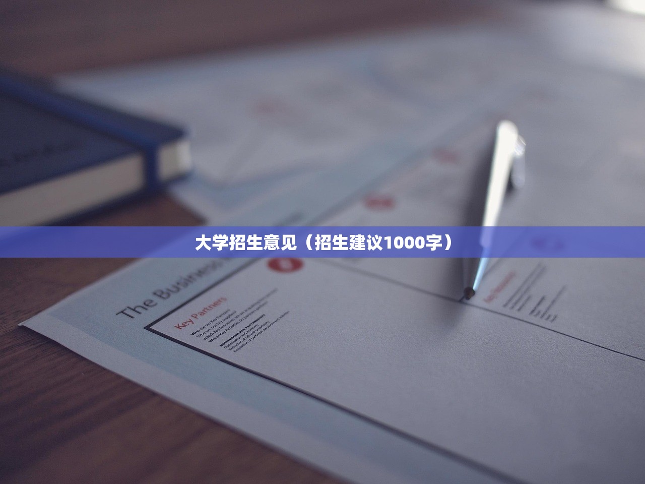 大学招生意见（招生建议1000字）
