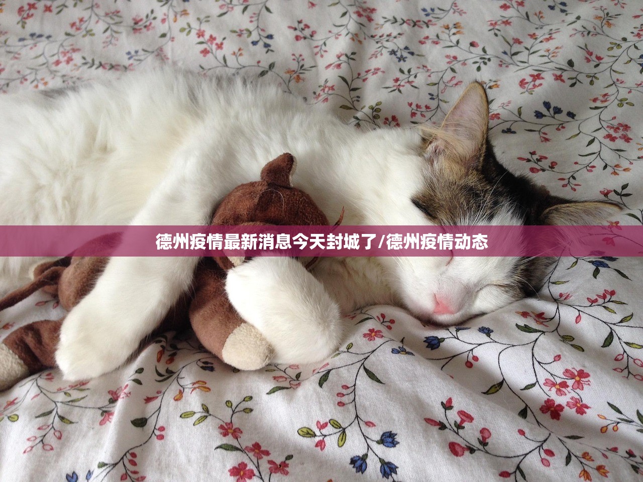 德州疫情最新消息今天封城了/德州疫情动态 德州疫情最新消息今天封城了/德州疫情动态