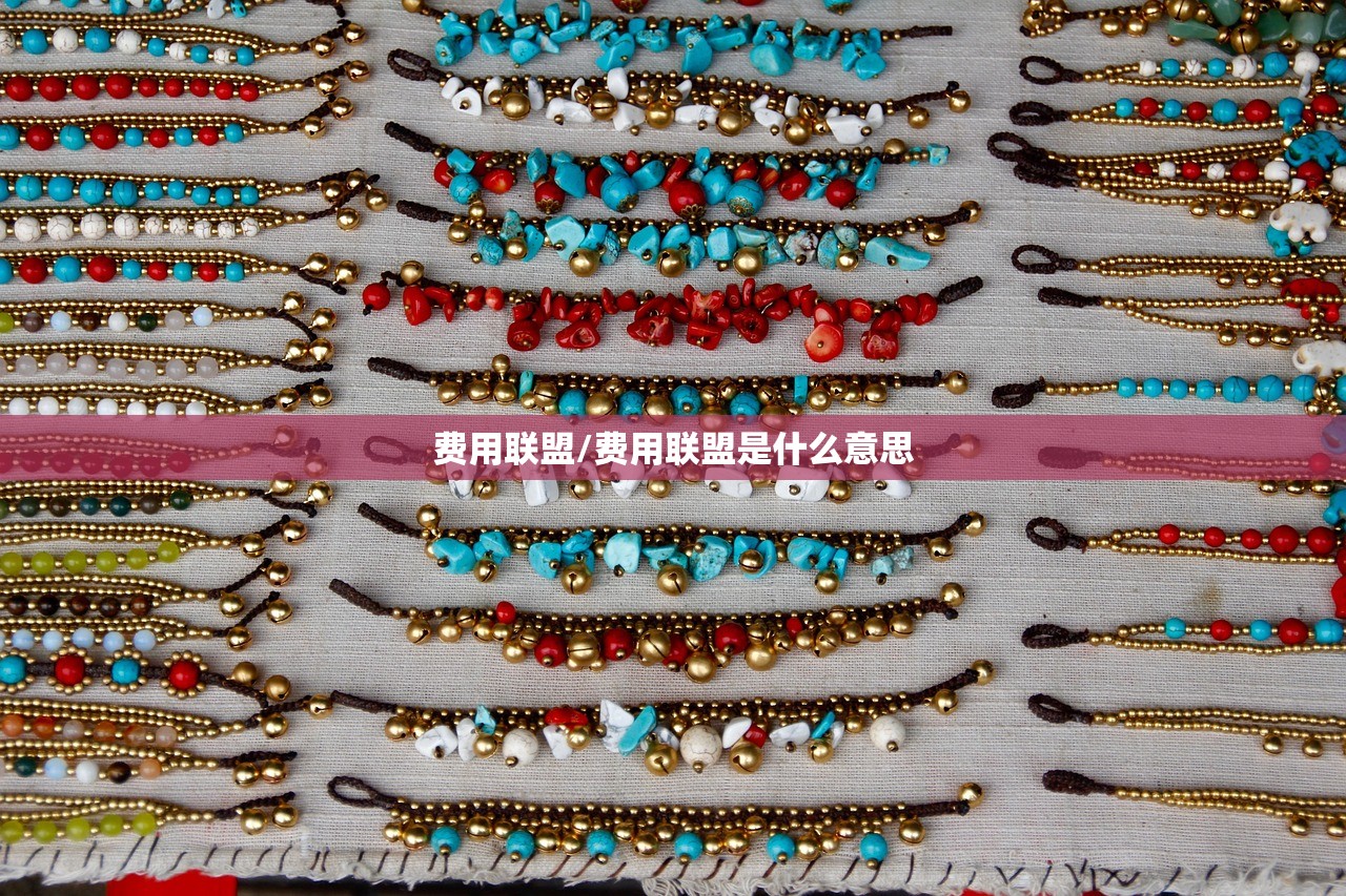 费用联盟/费用联盟是什么意思 费用联盟/费用联盟是什么意思