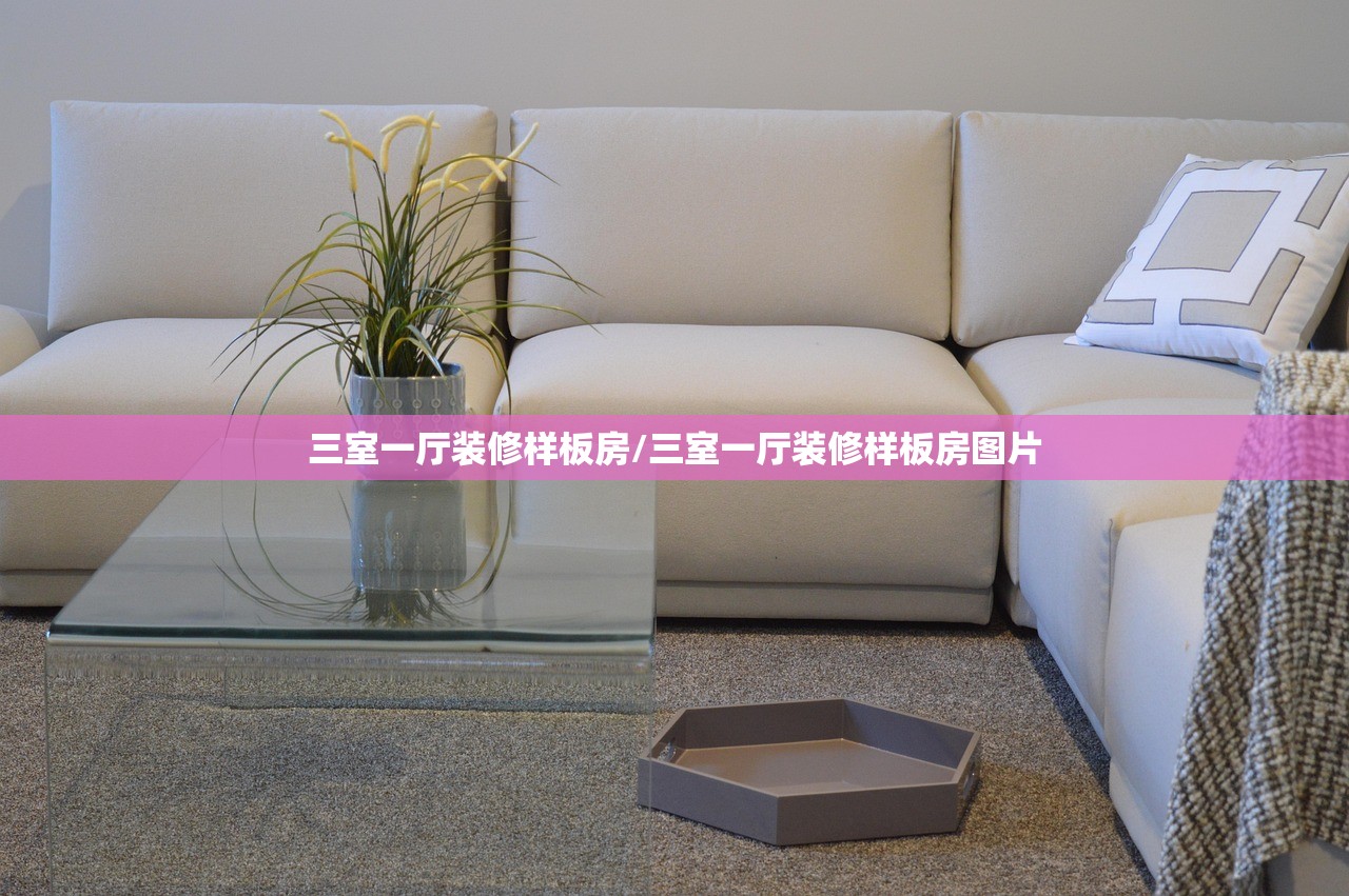 三室一厅装修样板房/三室一厅装修样板房图片