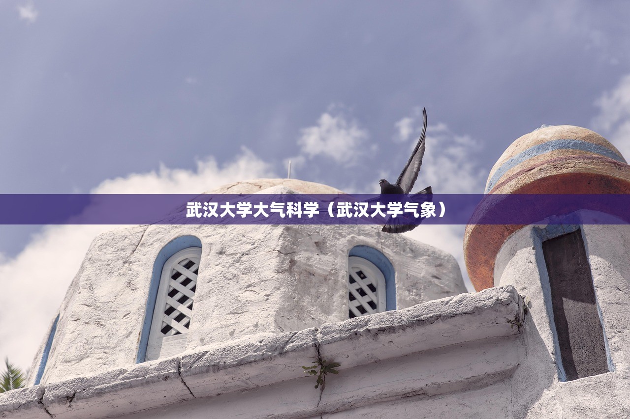 武汉大学大气科学（武汉大学气象）