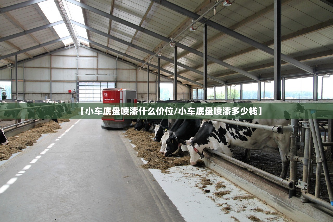 【小车底盘喷漆什么价位/小车底盘喷漆多少钱】