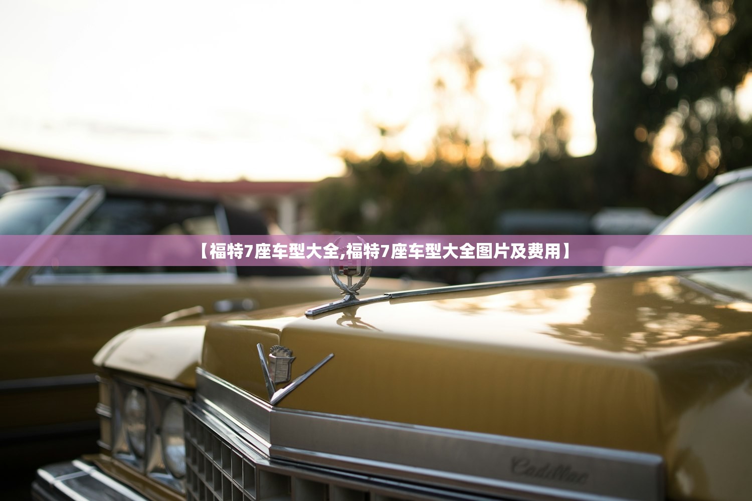 【福特7座车型大全,福特7座车型大全图片及费用】