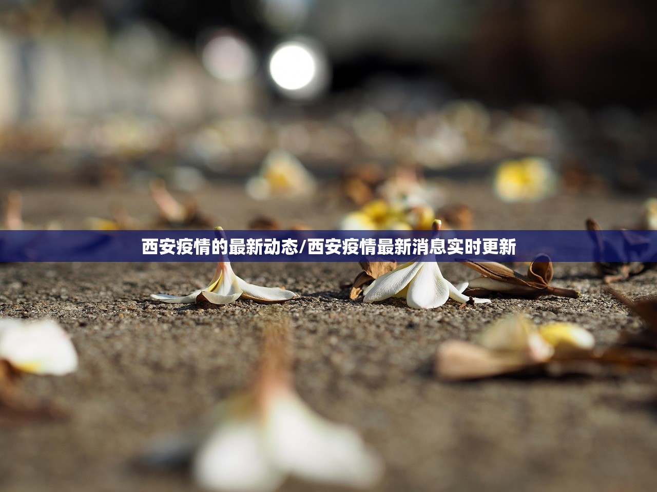 西安疫情的最新动态/西安疫情最新消息实时更新
